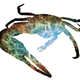 Illustration for article titled The Crab Nebula as a Crab, and More Zoological Space Porn
